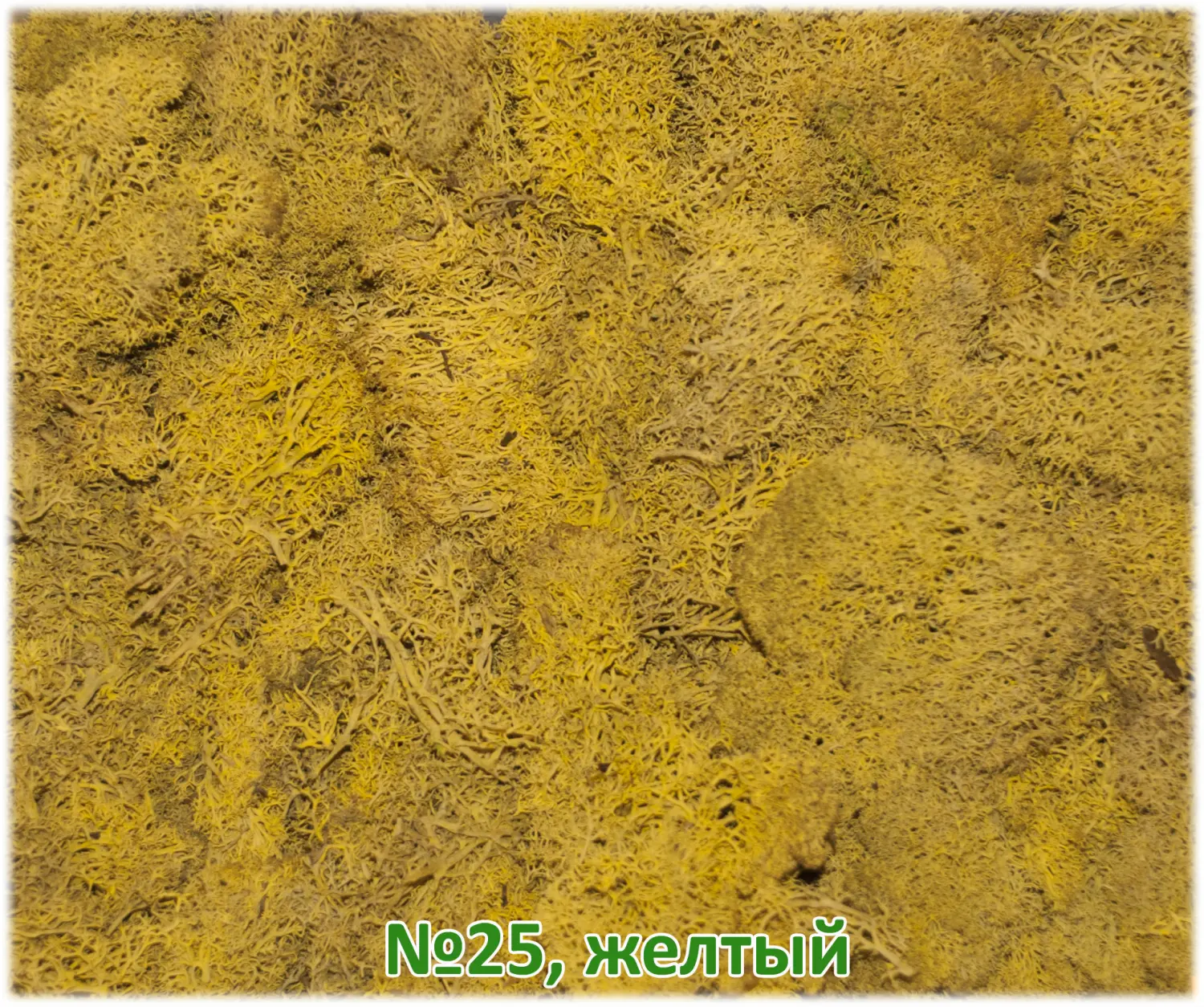 Мох стабилизированный №25 желтый, 30*40 см, пак