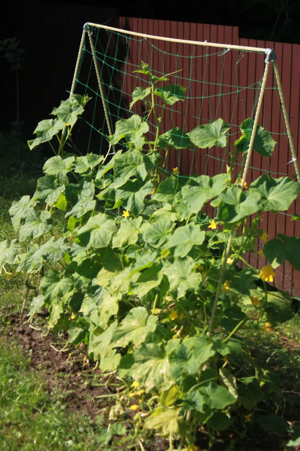 Шпалера для огурцов (двускатная), композитная, 200 * h 180 см, уп
