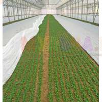 Нетканое агроволокно Агротекс упростит уход за растениями