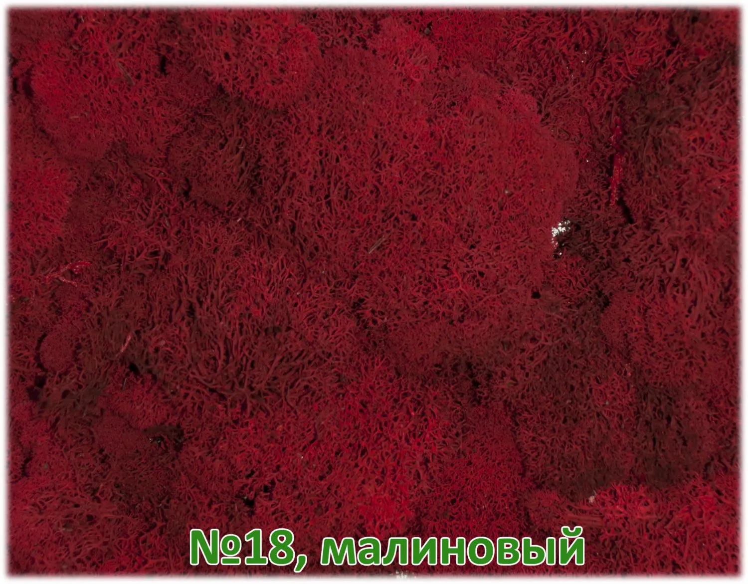 Мох стабилизированный №18 малиновый, 30*40 см, пак