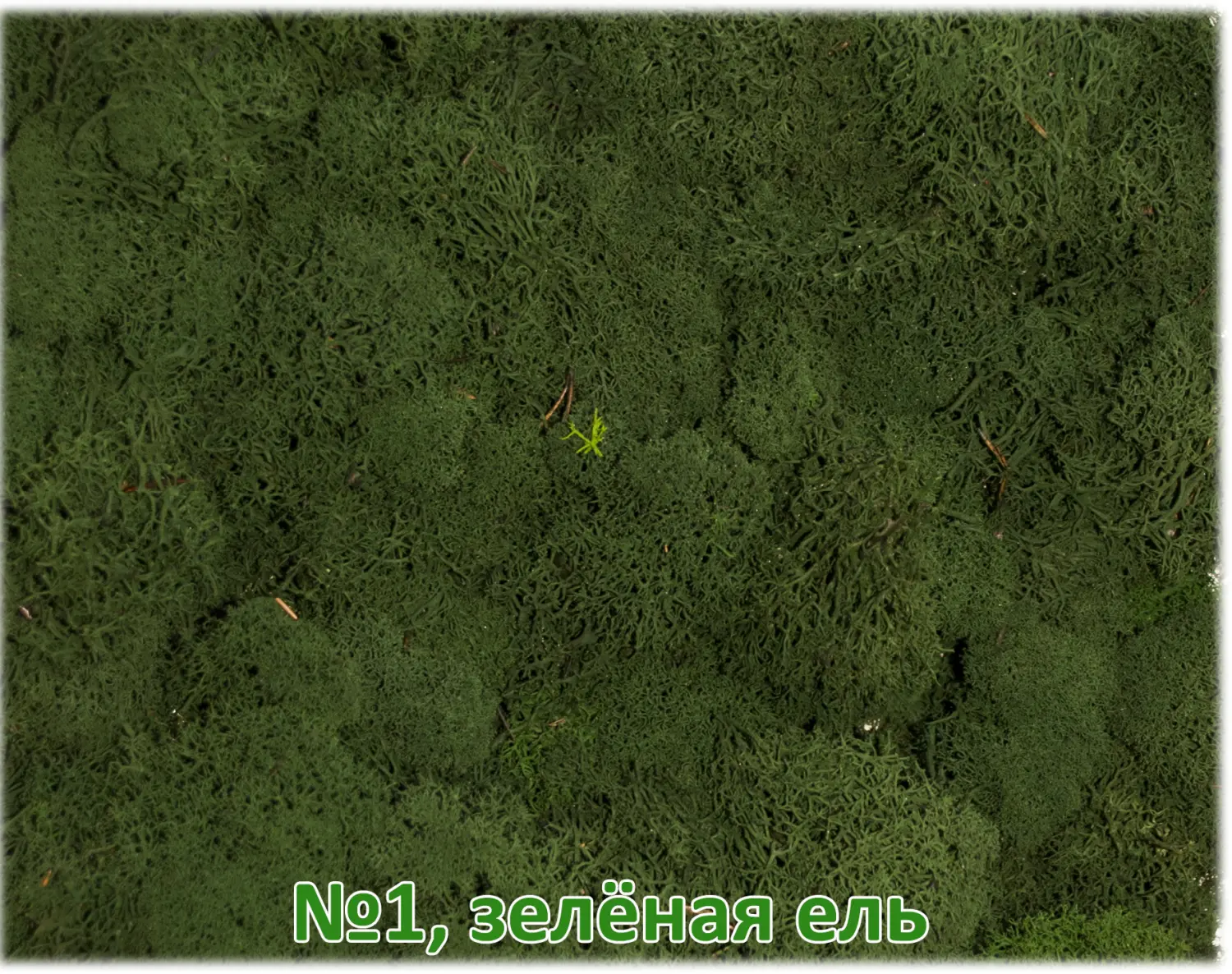 Мох стабилизированный №1 зеленая ель, 30*40 см, пак