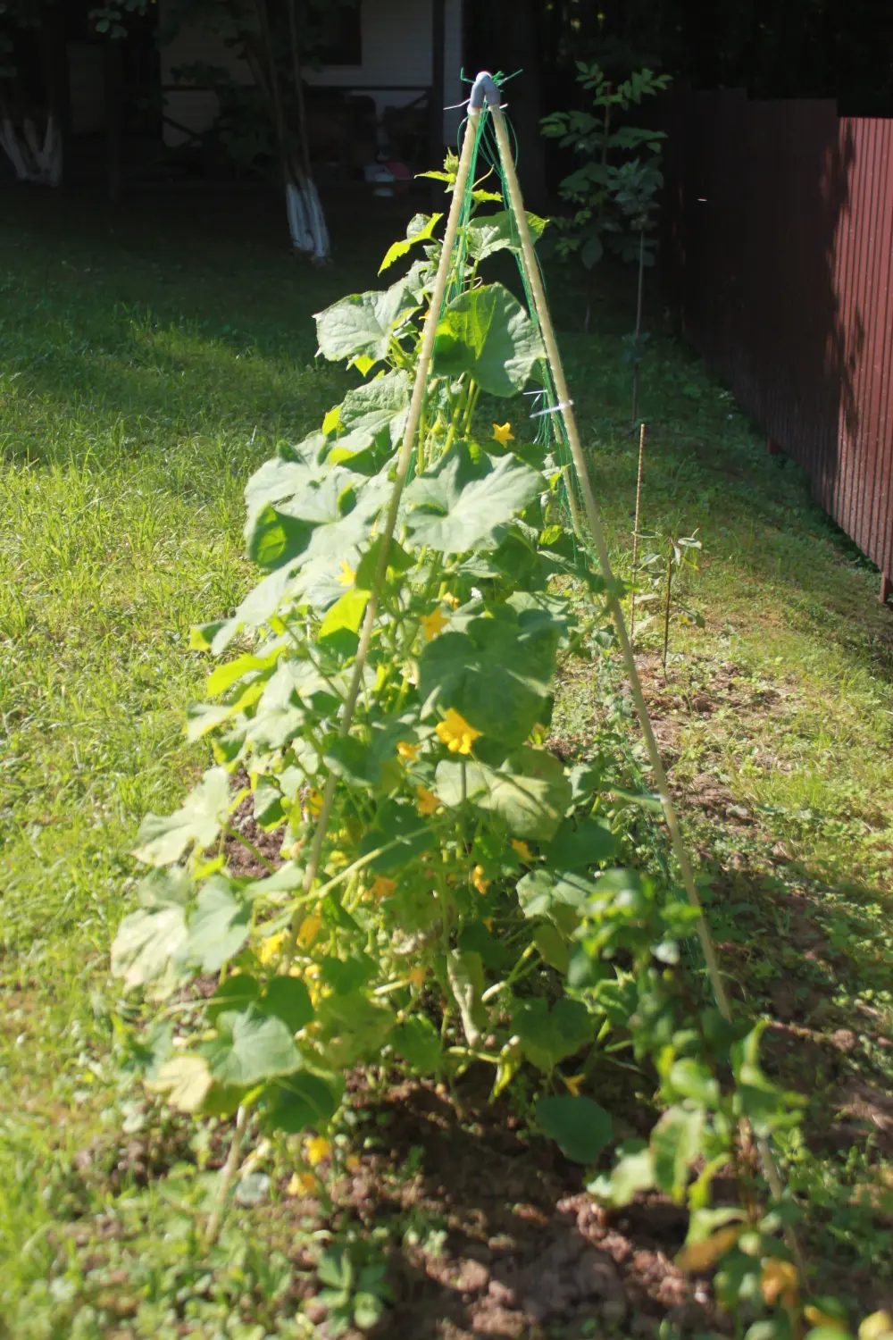 Шпалера для огурцов (двускатная), композитная, 200 * h 180 см, уп