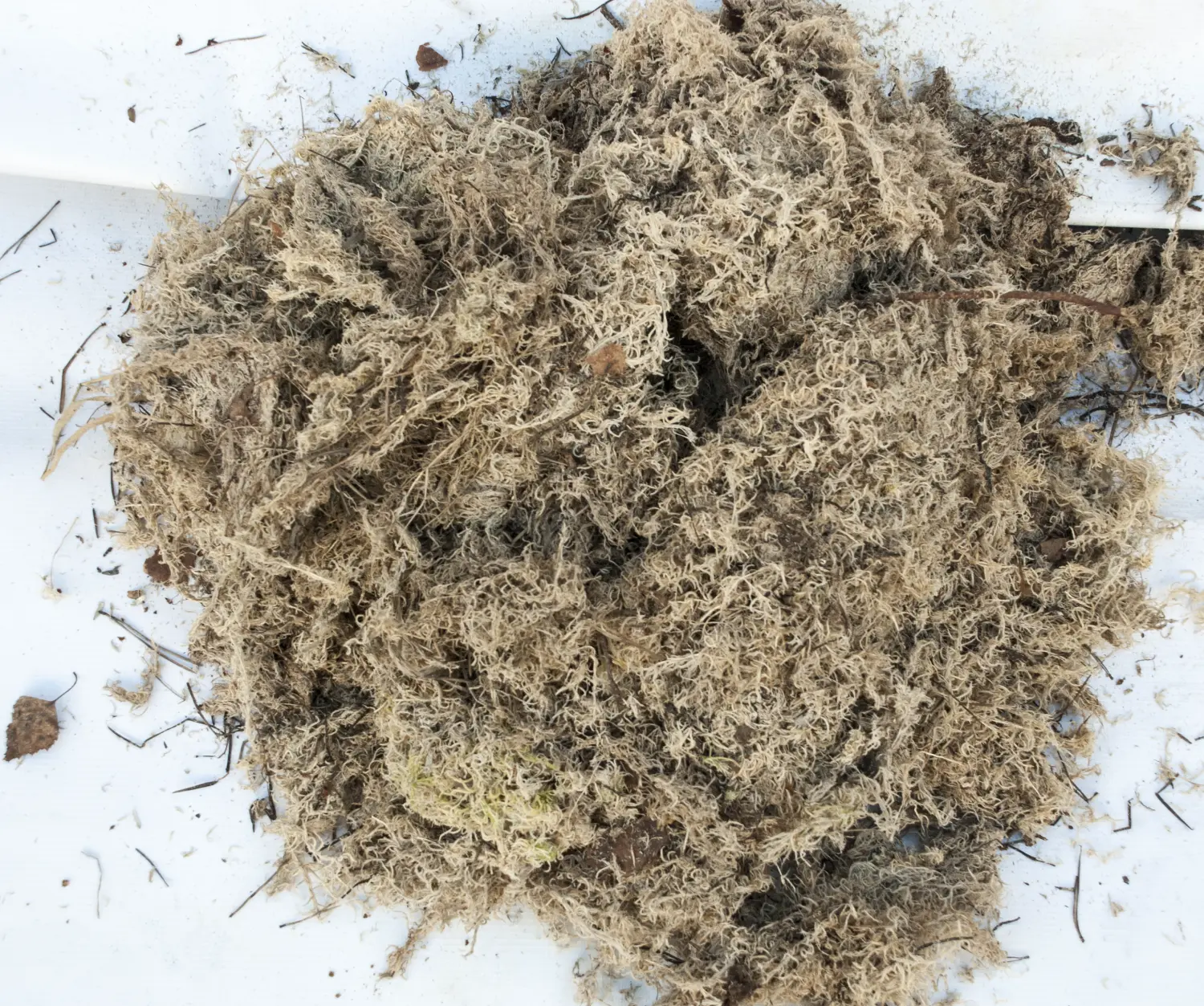 Мох болотный сфагнум, 60 л, меш