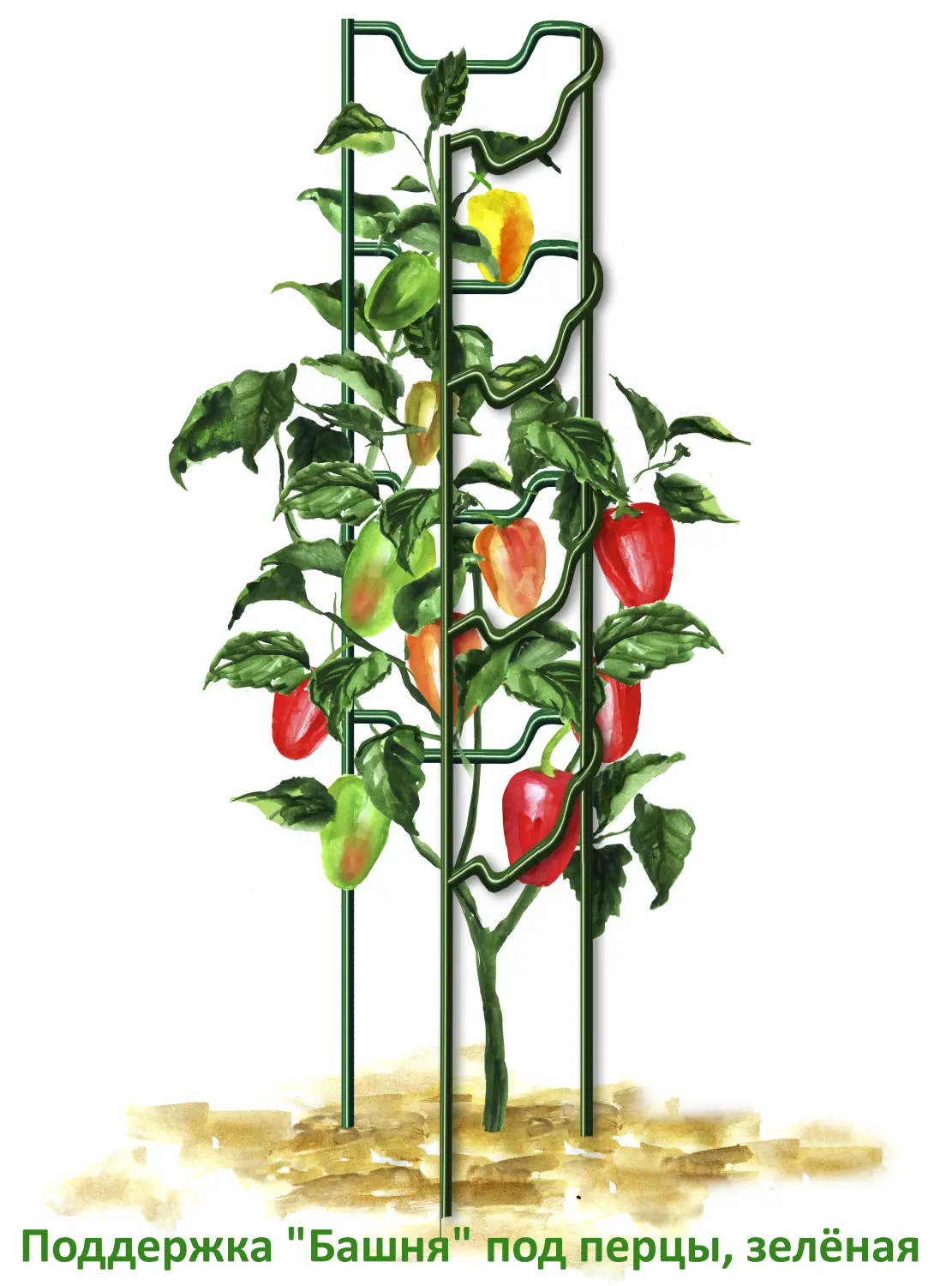 Поддержка "Башня" под перцы, зеленая, h 60 см, шт