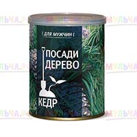 Хороший подарок — это легко! 