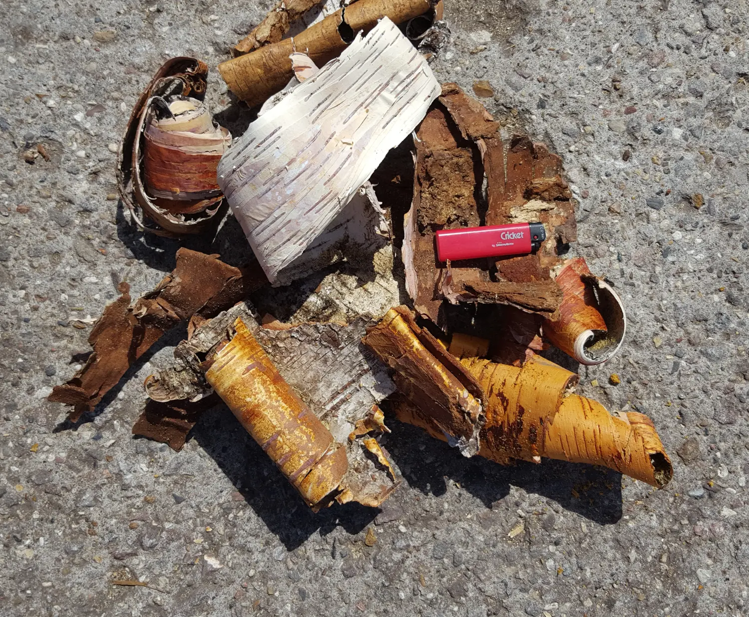 Береста для розжига, 60 л, меш 