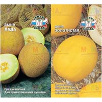 Семена дыни, сорта адаптированные для средней полосы России