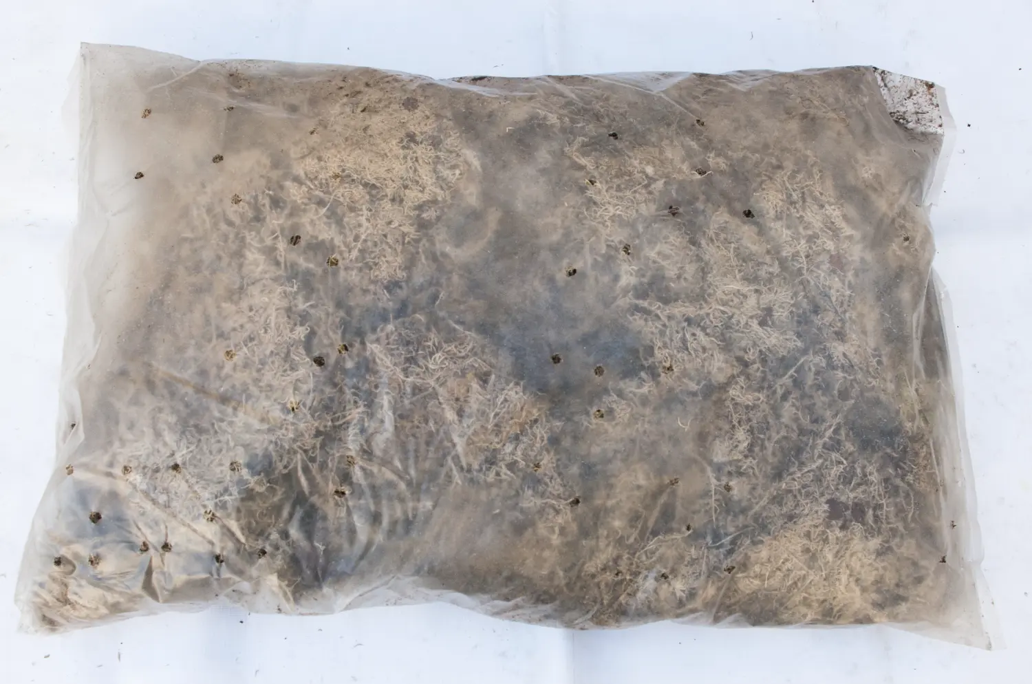 Мох болотный сфагнум, 60 л, меш