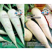 Дайкон - большая и вкусная редька