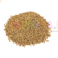 Белый донник - эффективный сидерат и хороший медонос