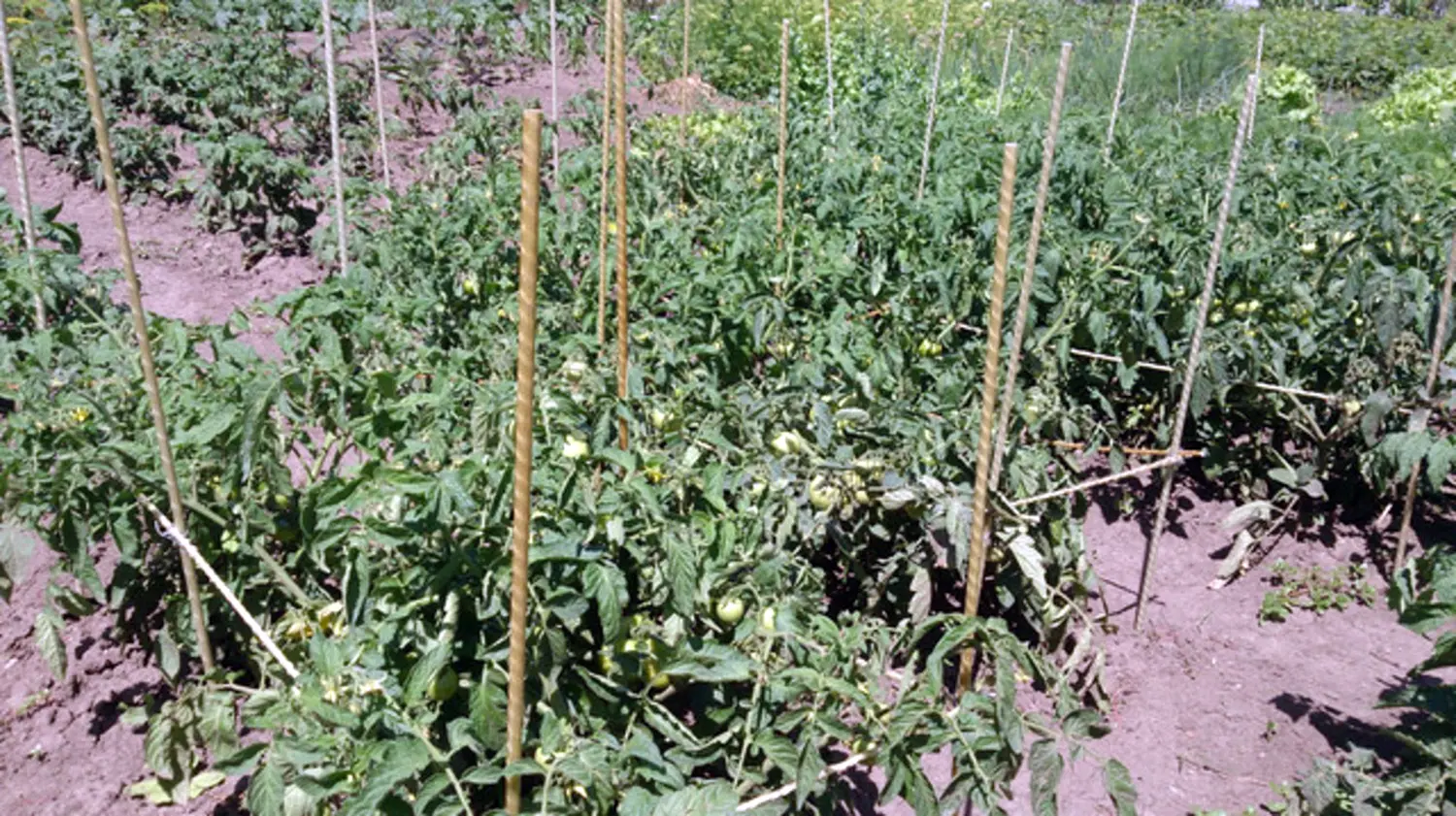 Композитная арматура Ø  4мм, 50 м/бухта