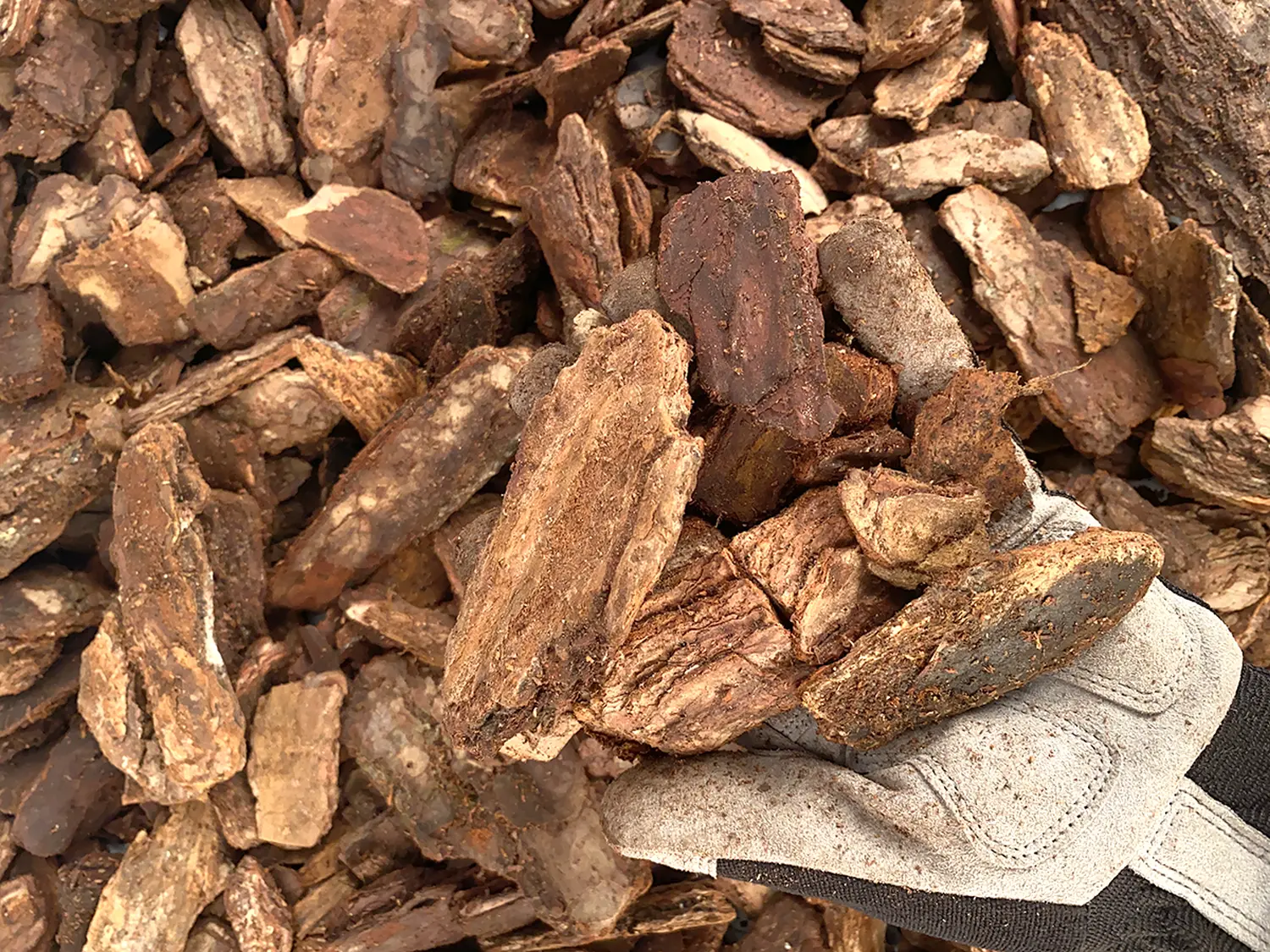 Кора сосны Люкс 2-5 см, 60 л