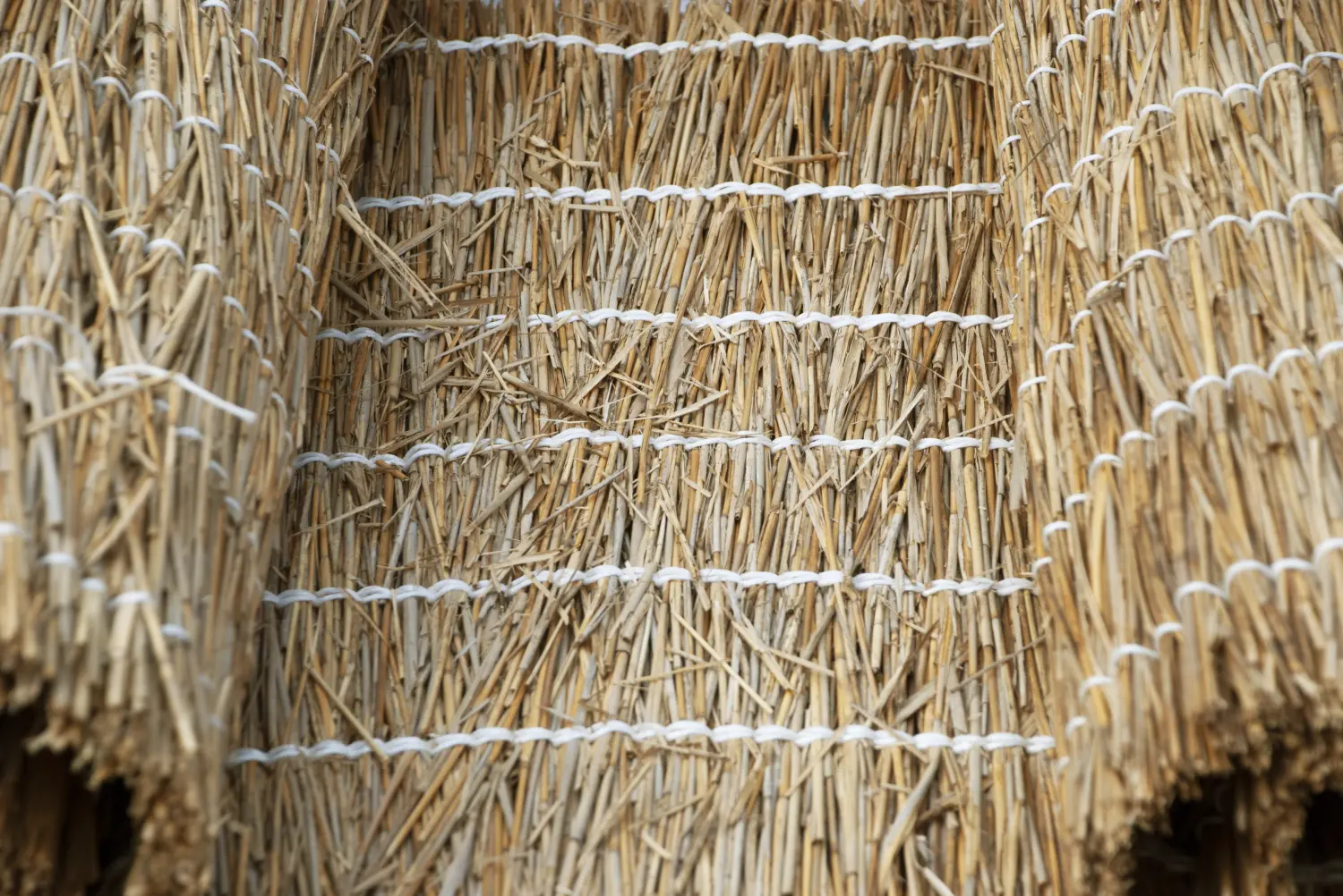 Многослойный тростниковый/камышовый мат 1,4х3,0м (4,2м2), рул 