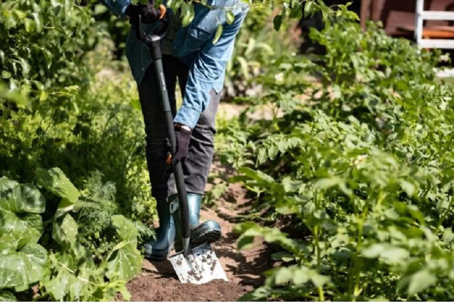 Plantic Лопата штыковая Terra Pro, арт 11002-01, шт