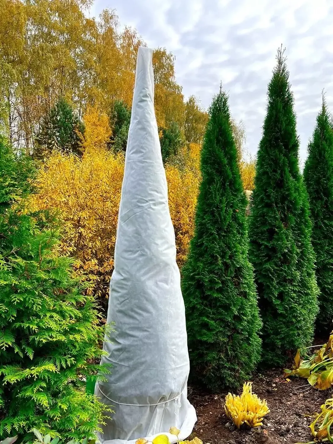 Чехол-укрытие для Туй (чехол+скобы), h 3,0 * Ø 1,5 м, уп