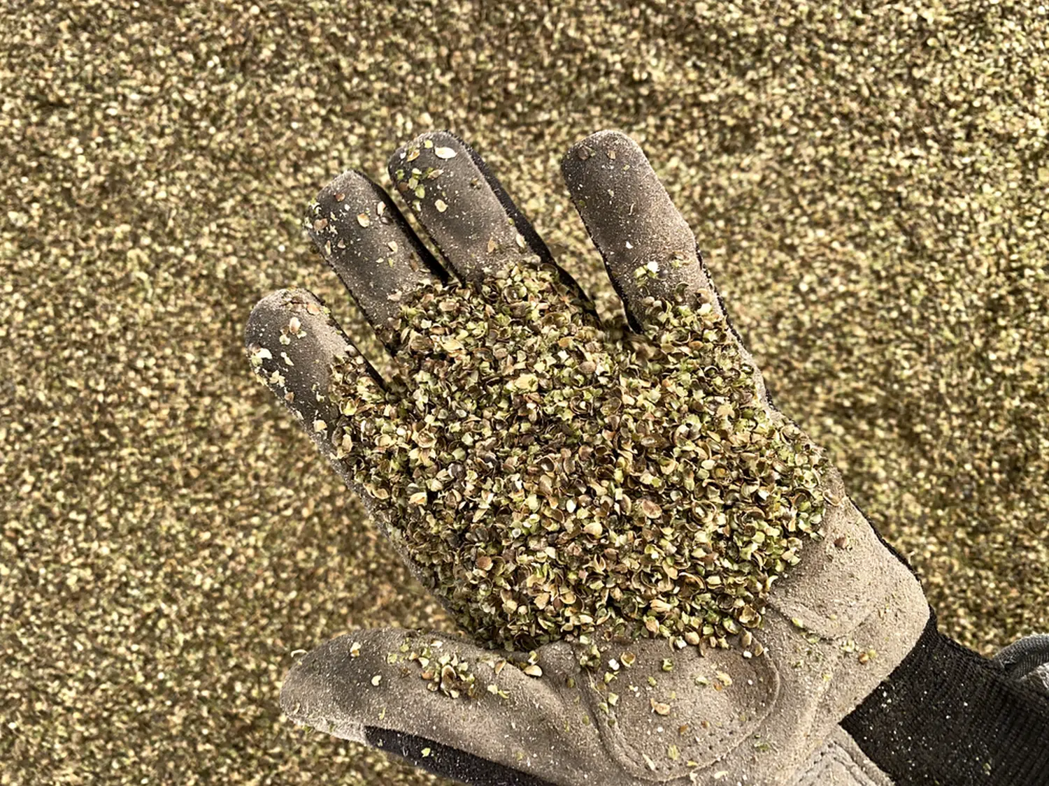 Лузга конопляная, 80 л (~20 кг)