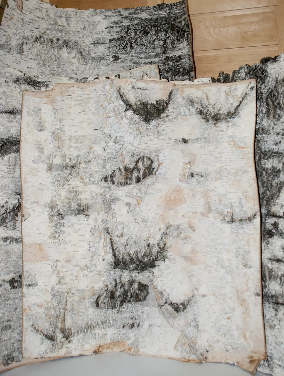 Береста в листах ( ~ 20 x 20 см), шт