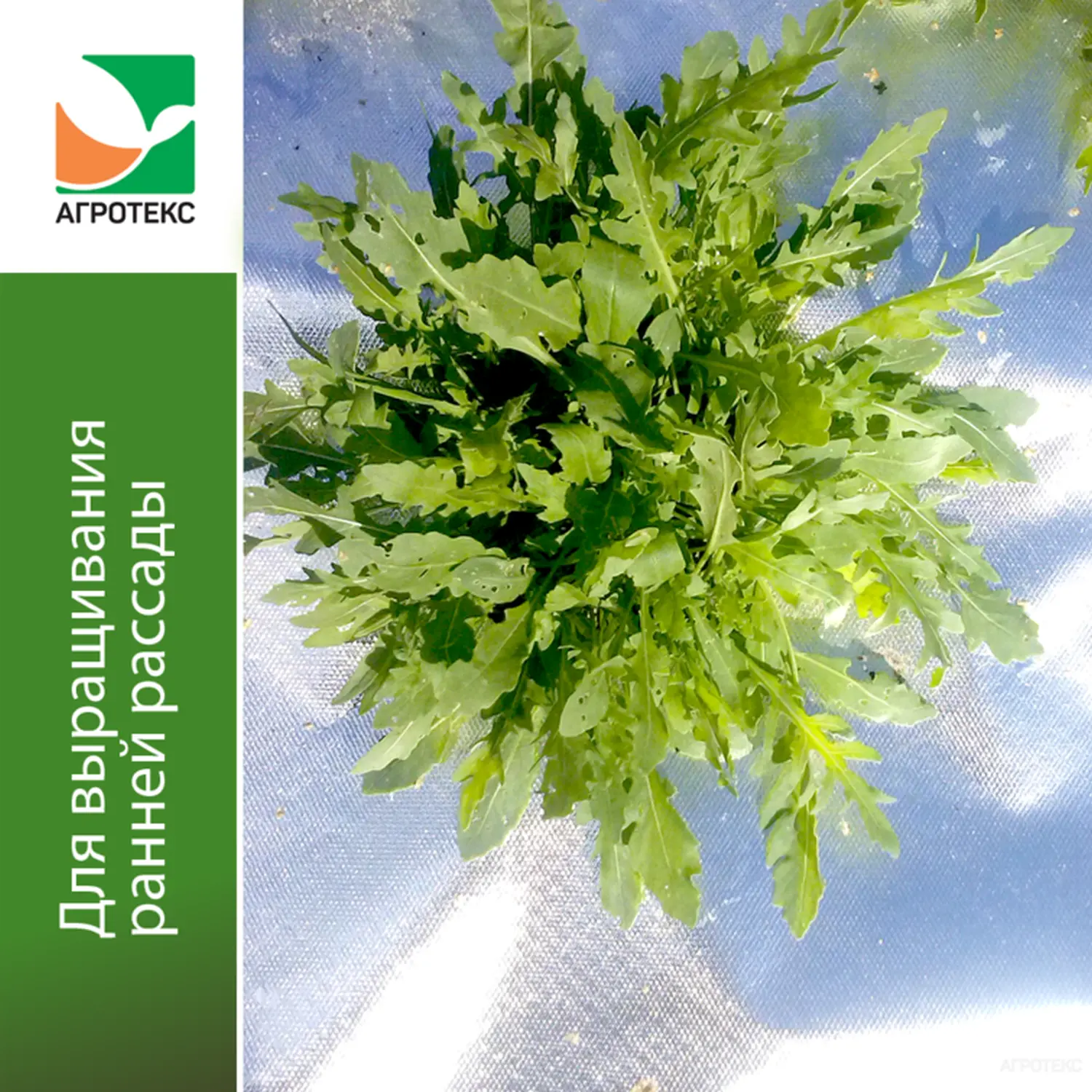 Агротекс Фольгированная Мульча 1,6*50 м, рул