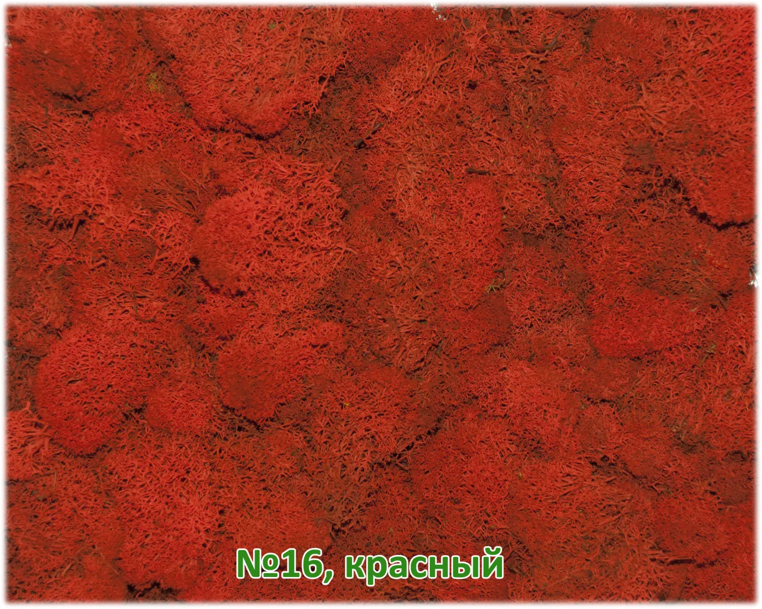 Мох стабилизированный №16 красный, 30*40 см, пак