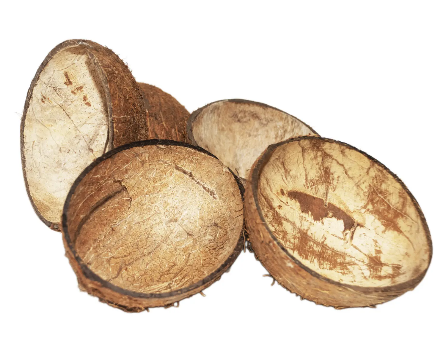 FM Скорлупа кокосового ореха с отверстием (половинка) домик для грызунов, шт