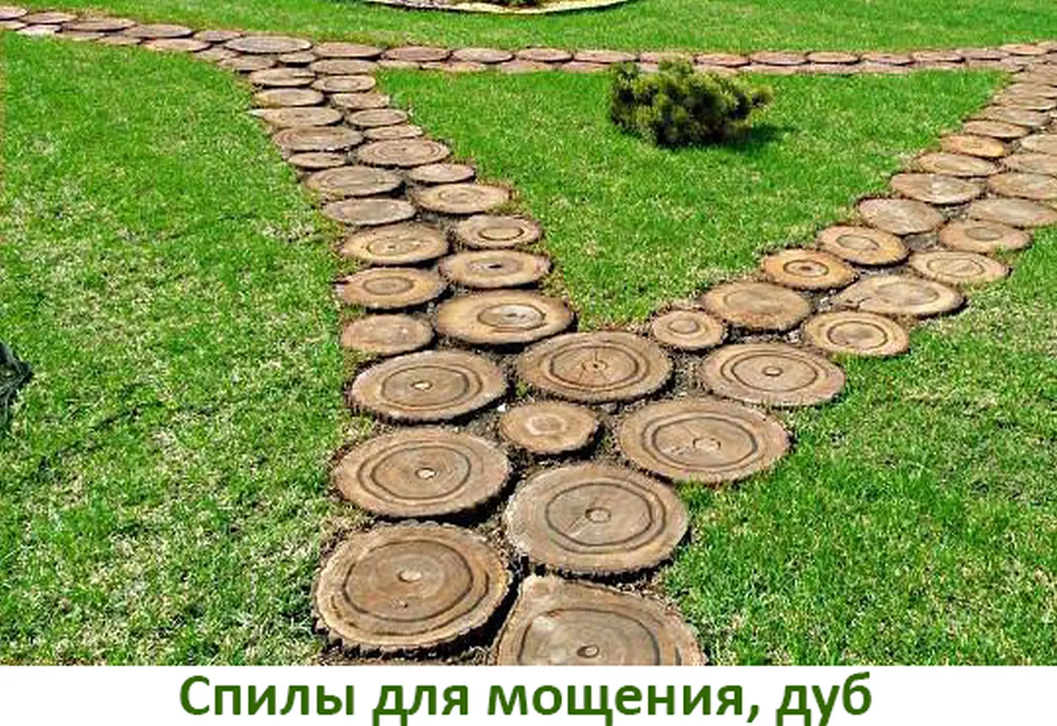 Спилы поквадратно дуб для мощения, (Ø 10-35см, h 8см), м.кв.