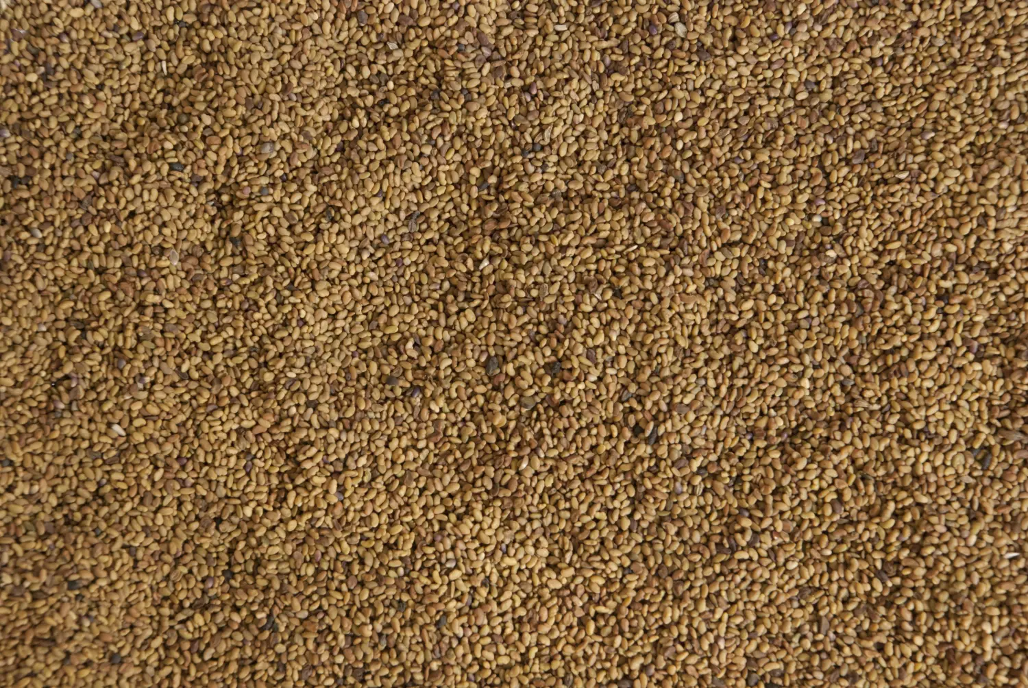 Сидерат Люцерна, 0,5 кг