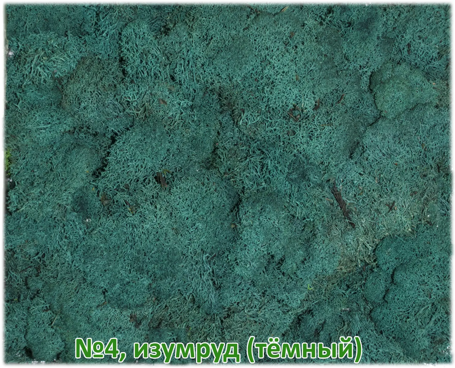 Мох стабилизированный №4 темный изумруд, 30*40 см, пак
