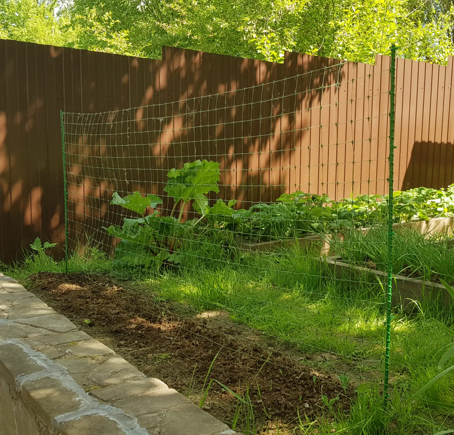 Шпалера для гороха (сетка в комплекте), композитная,  200 * h 100 cм, уп