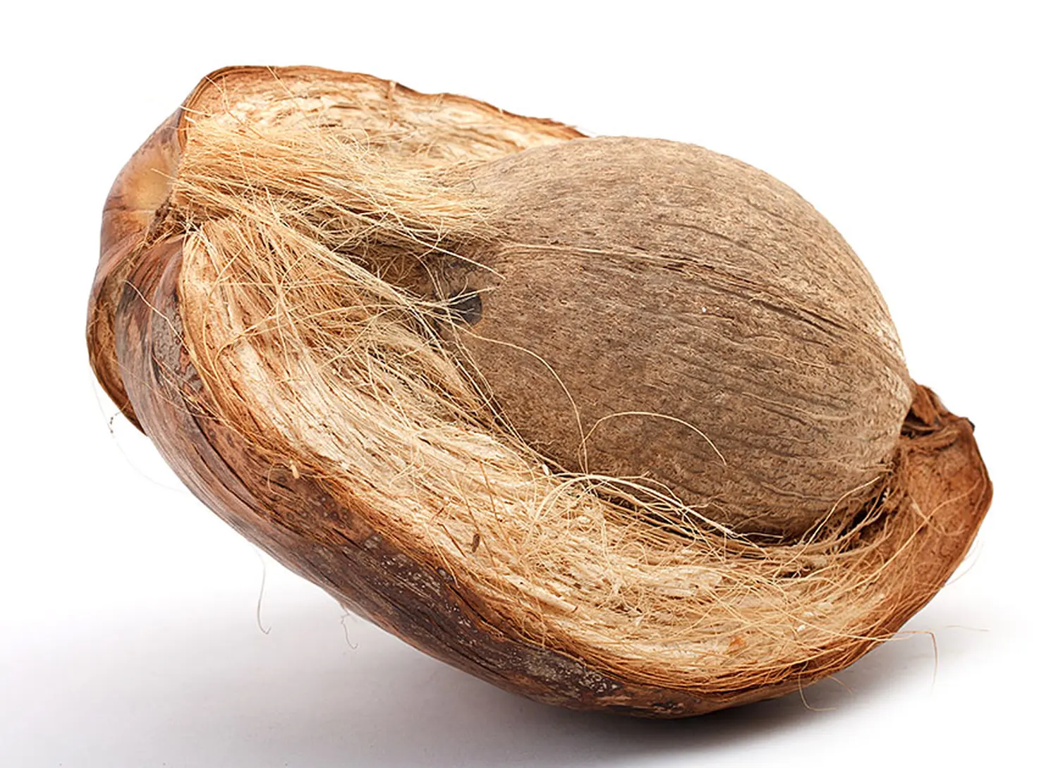 Cocoland Горшочек из кокосового волокна,  Ø 8 см, шт