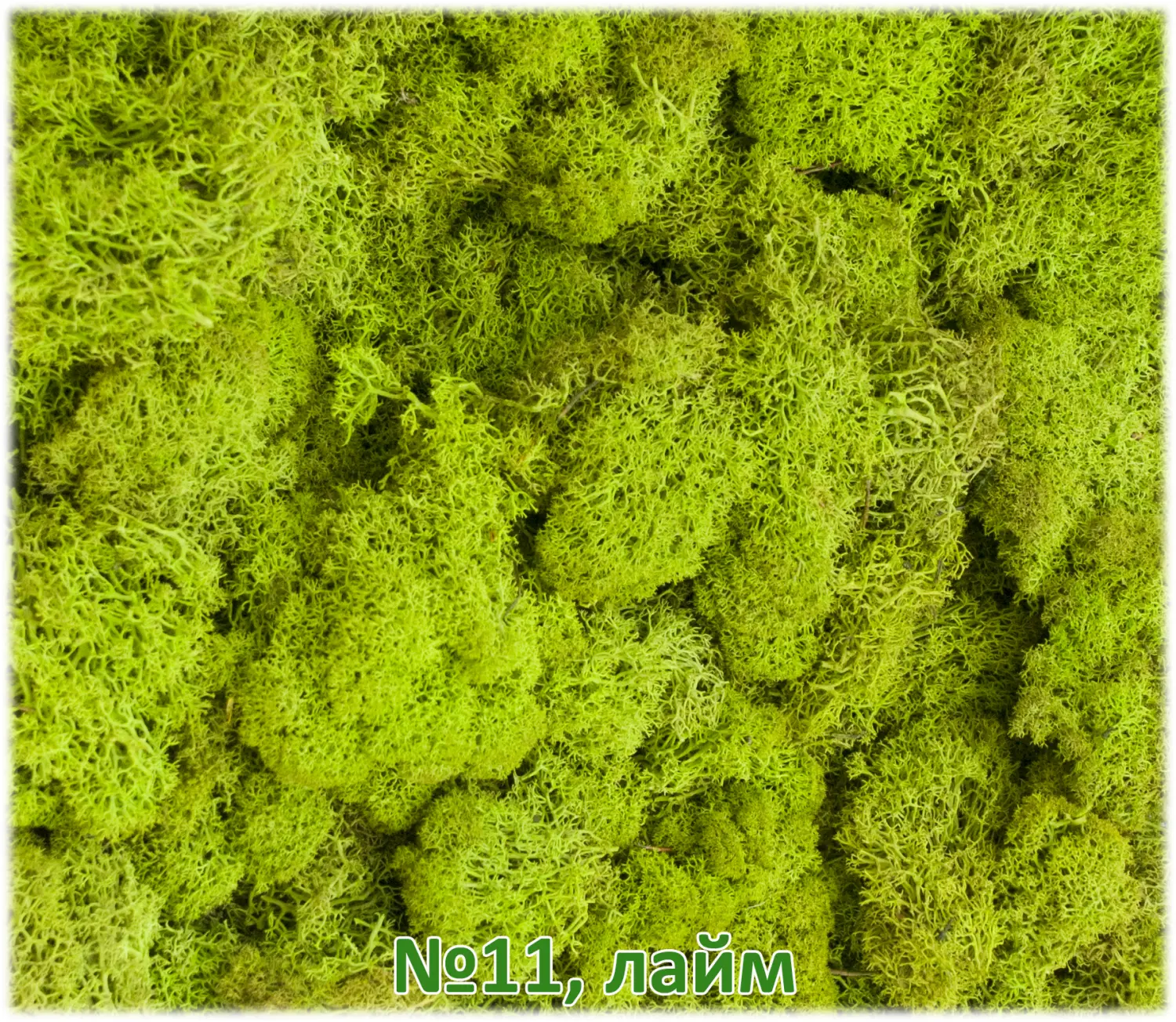 Мох стабилизированный №11 лайм, 30*40 см, пак