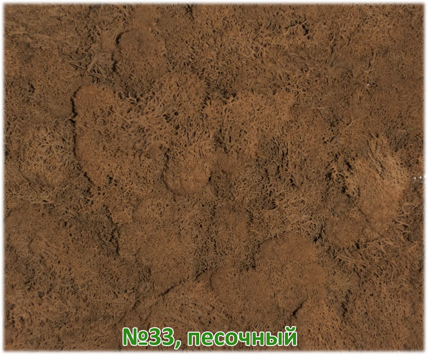 Мох стабилизированный №33 песочный, 30*40 см, пак