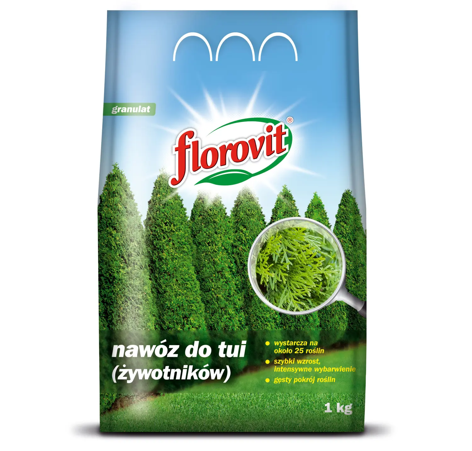 Florovit гранулированный для туи, пакет 1 кг
