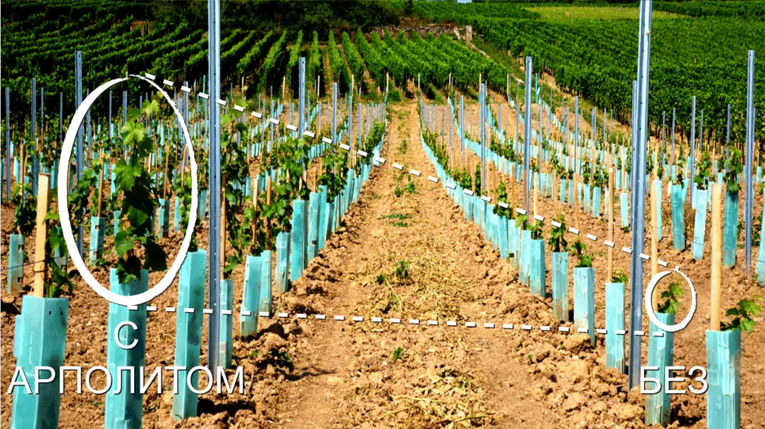 Арполит (Arpolith), улучшитель почвы, германия, 1 кг, ведерко 