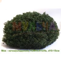 Мох-кочка для создания декоративных композиций