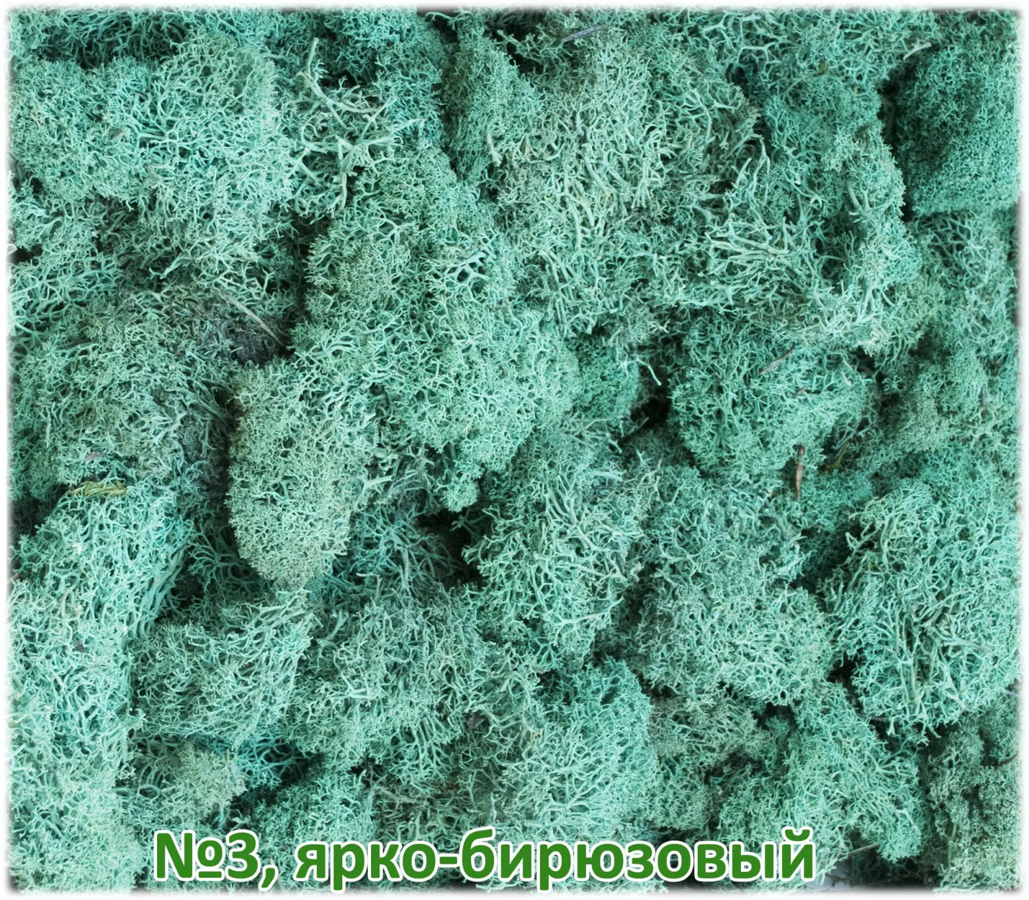 Мох стабилизированный №3 ярко-бирюзовый, 30*40 см, пак