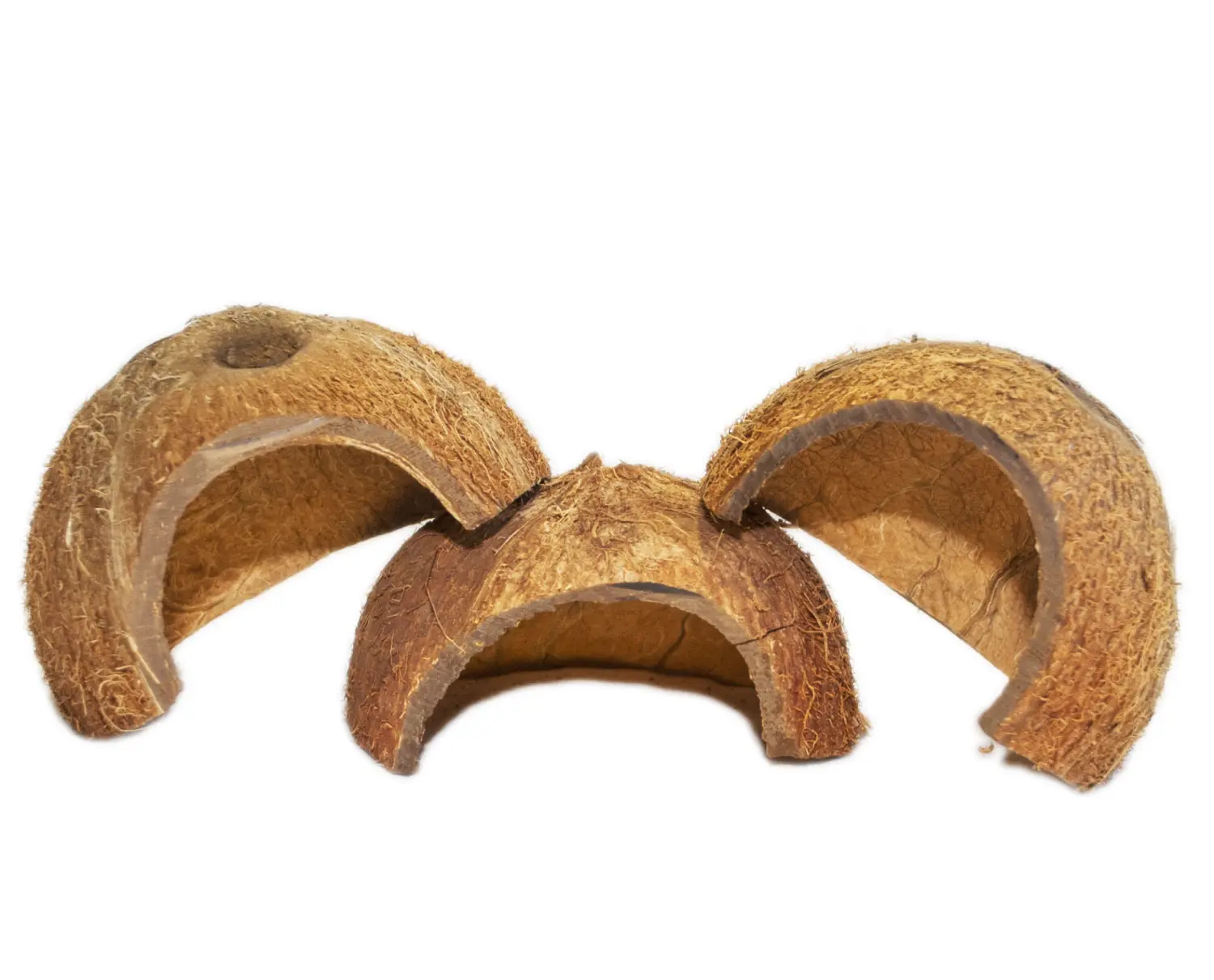 FM Скорлупа кокосового ореха с отверстием (половинка) домик для грызунов, шт