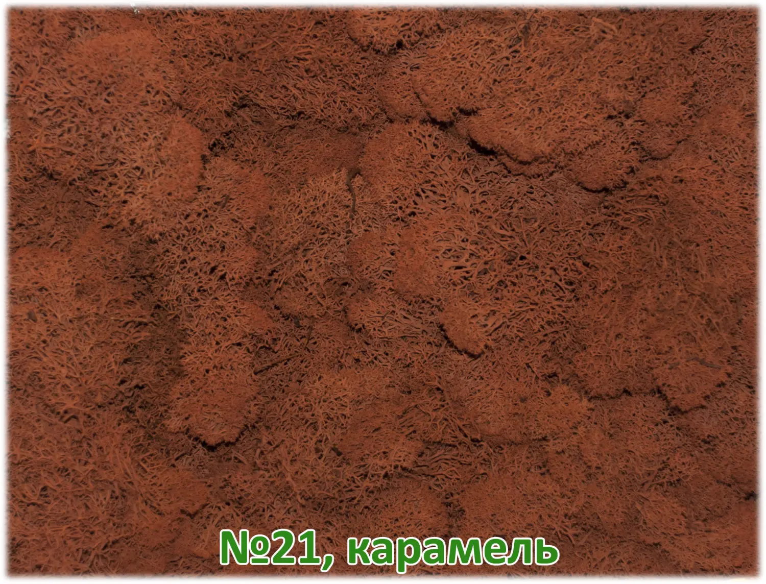 Мох стабилизированный №21 карамель, 30*40 см, пак