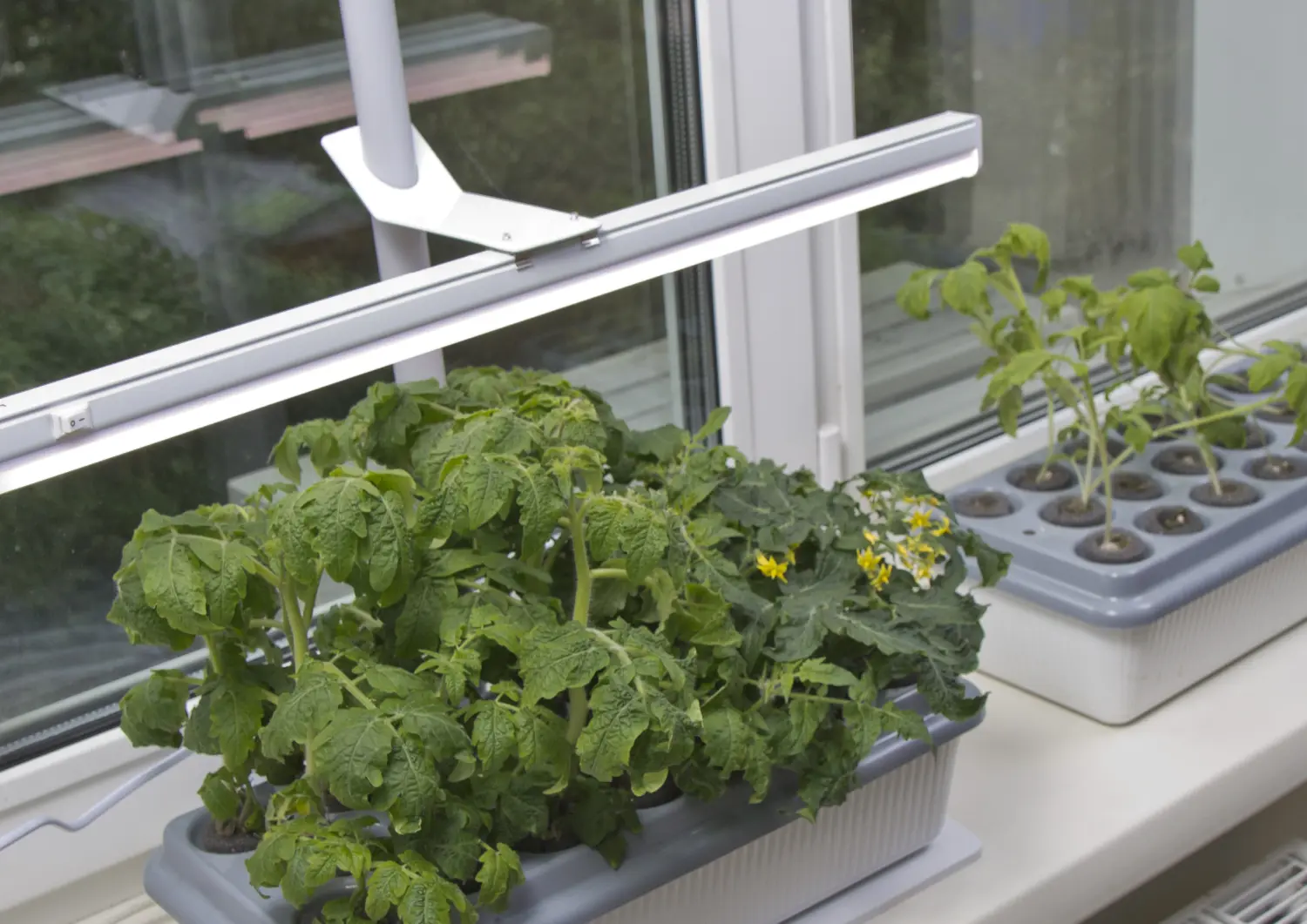 Фитосветильник «Растущий светильник 16-18 Вт» 