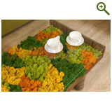 Фазенда на Первом, проект "Природа в доме", эфир 29 марта 2015 года!