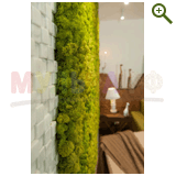 Фазенда на Первом, проект "Природа в доме", эфир 29 марта 2015 года!