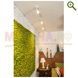 Фазенда на Первом, проект "Природа в доме", эфир 29 марта 2015 года!