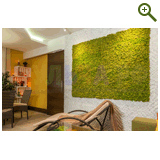 Фазенда на Первом, проект "Природа в доме", эфир 29 марта 2015 года!