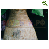 "Фазенда" проект "Геометрическая беседка"