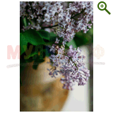 "Фазенда" проект "Геометрическая беседка"