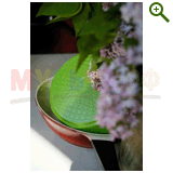 "Фазенда" проект "Геометрическая беседка"