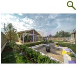 Лавандовый туман