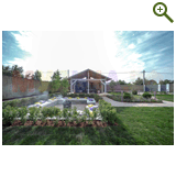 Лавандовый туман