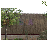 Лавандовый туман