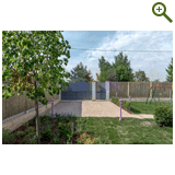 Лавандовый туман