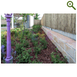 Лавандовый туман